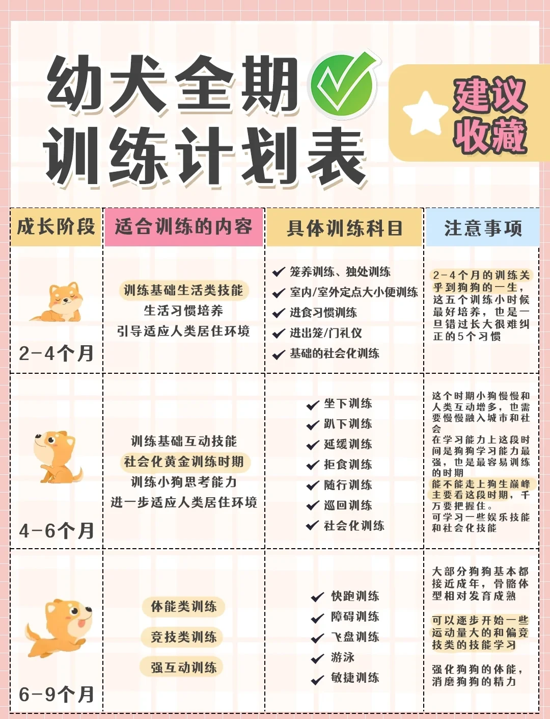2020年篮球训练总结与反思作文_1